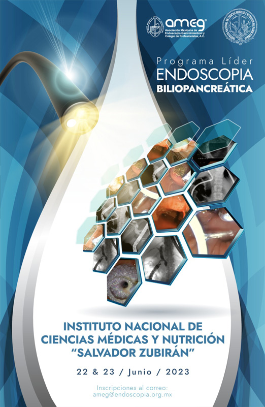 poster lider junio
