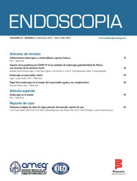portada vol 34 2