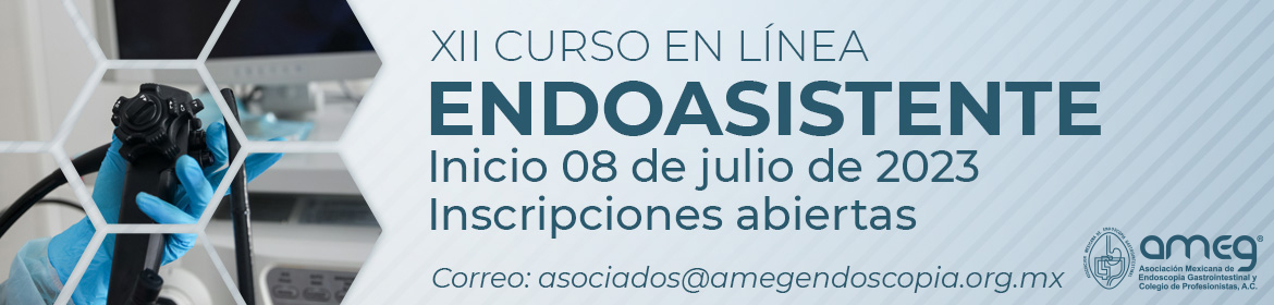 12 Curso Endoasistente