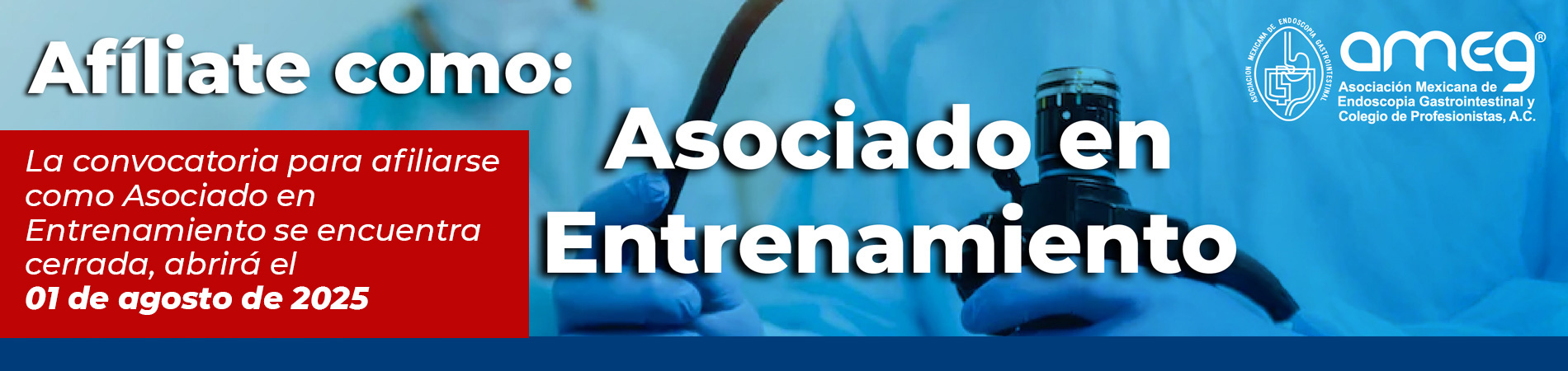 Asociado en entrenamiento