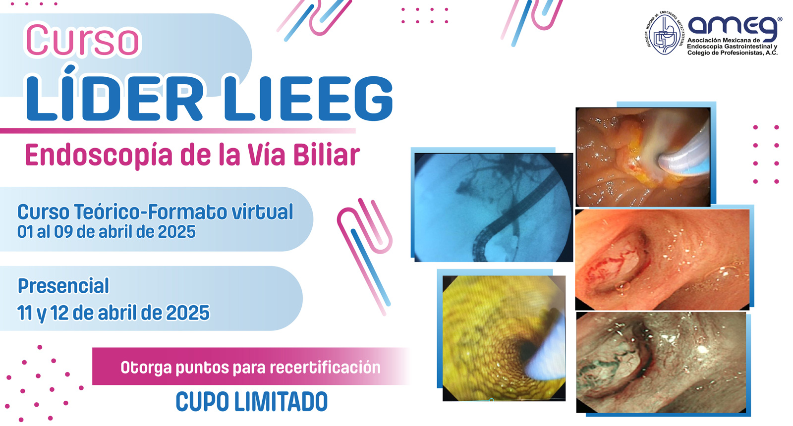 Curso Lider 2025-4 Via biliar