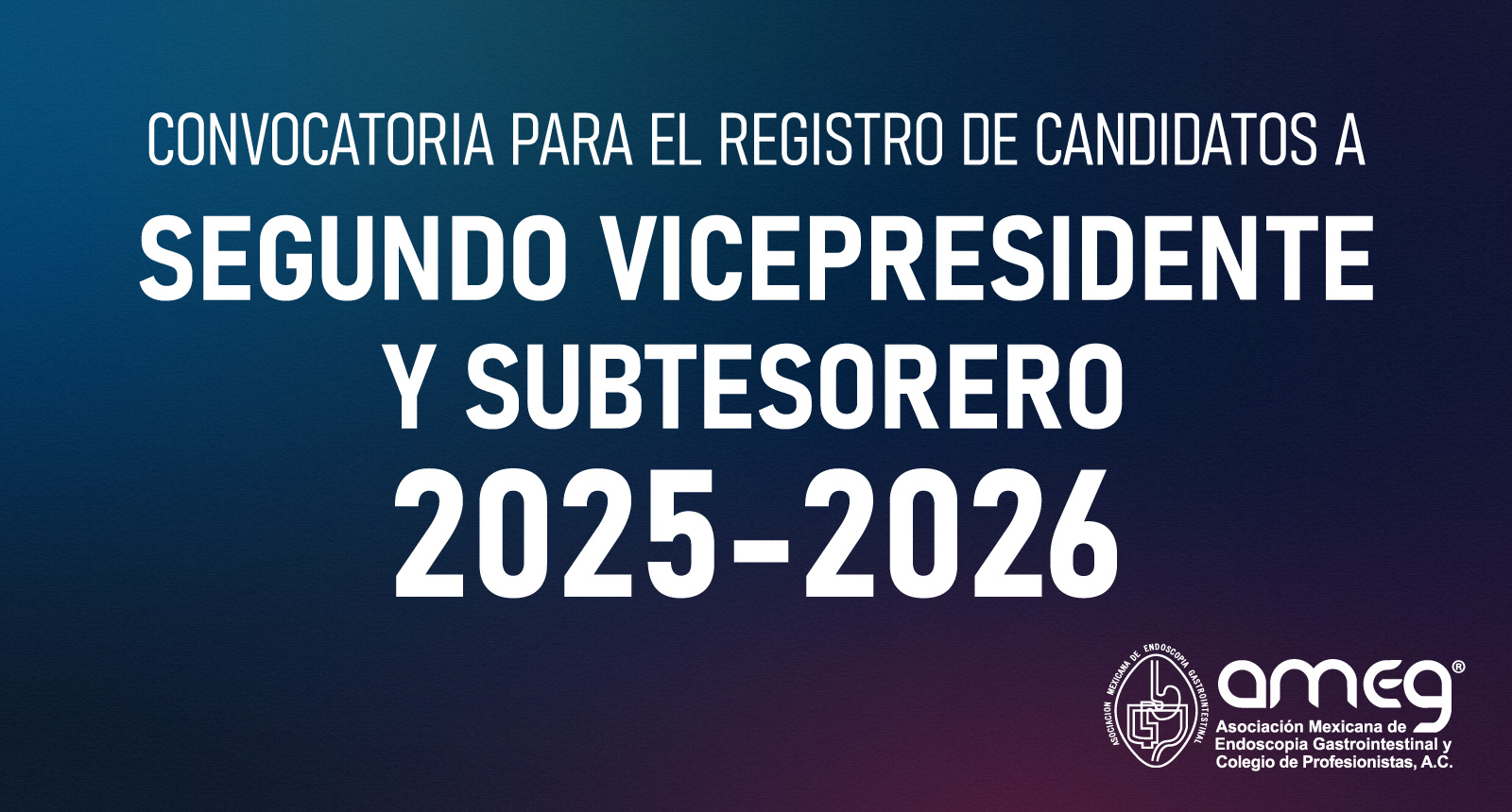 Convocatoria segundo vicepresidente 2025-2026