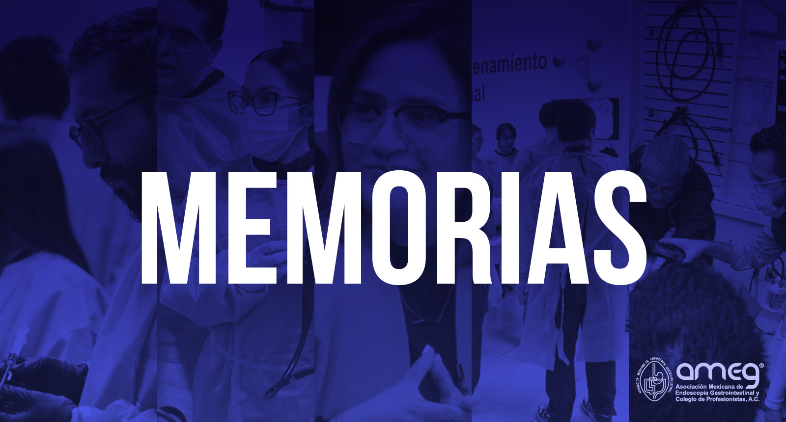 Memorias - Lieeg