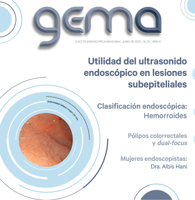 GEMA 33 jun 2022