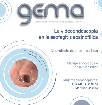 GEMA 39 dic 2022